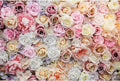 Roses Flowers Backdrop Valentines Day Pink Red Rose Photography Background Various Floral Roses Backdrop Decors for Birthday Wedding Baby Shower Anniversary Children Adults Studio Backgrounds 12x8ft