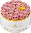Preserved Roses Forever Flowers Real Roses in a Box Mother's Day Birthday Flowers for Her Mom Women Wife Valentine's Day, 27 Dusty Pink Roses