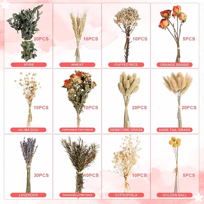 12 Kinds of Dried Flowers for Crafts Bulk DIY Natural Dried Pampas Grass Rose Lavender Babys Breath with Stems Dry Flower Bouquets with Hemp Rope Handmade DIY Ideas Home Decor Floral Arrangement