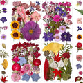 85Pcs Dried Pressed Flowers for Resin Molds, Real Natural Bulk Dry Floral Leave for DIY Art Crafts, Epoxy Jewelry, Candle, Soap Making, Nails Decors Gifts