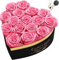 Preserved Roses Flowers for Delivery 16 Pcs, Forever Flores in Heart Box with Necklace, Eternal Rose Anniversary Birthday Gift for Women Wife Girlfriend, Rosas for Valentines Christmas, Pink