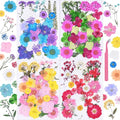 141Pcs Colorful Dried Pressed Flowers for Crafts,Xinxinran Dry Flowers Kit for Resin Molds,Epoxy Resin Accessories,Bookmark,Nails, Jewelry Molds,Candle Making Supplies,Soap,Frame(Mix Color)