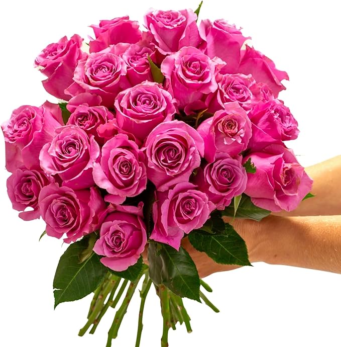 BloomsyBox- Light Pink Roses -24 Long Stems, Long Lasting, Hand-Tied in Eco-friendly, Vase Not Included, Fresh Flowers for Delivery – Gift for Birthday, Anniversary,Congratulations, Wedding