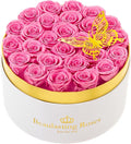 Preserved Roses Forever Flowers Real Roses in a Box Mother's Day Birthday Flowers for Her Mom Women Wife Valentine's Day, Pink, 27 Piece