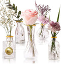 Luxury Glass Bud Vase Set of 5 – Hand Painted Gold Rim Mini Vases, Elegant Small Glass Vases for Centerpieces, Vintage Clear Flower Vases for Wedding, Table, Home & Party Décor