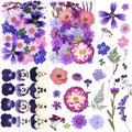 113Pcs Purple Dried Pressed Flowers for Crafts,Xinxinran Dry Flower Kit for Resin Molds,Epoxy Resin Accessories,Bookmark,Nails, Jewelry Molds,Candle Making Supplies,Soap,Frame,Cakes