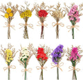 10 Pack Forget Me Not Dried Flowers Bouquets Natural Dry Flower with Stem Mini Dried Embossing Flower Dry Floral Arrangement for Vase, Crafts, Table Centerpieces, DIY, Photo Prop, Wedding, Home Decor
