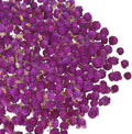 220 Pcs Dried Flowers Heads for Crafts Purple Globe Amaranth Natural Dried Gomphrena Globosa Flower Bulk Dry Flower Arrangements for Wedding Decor Home Party Headband DIY