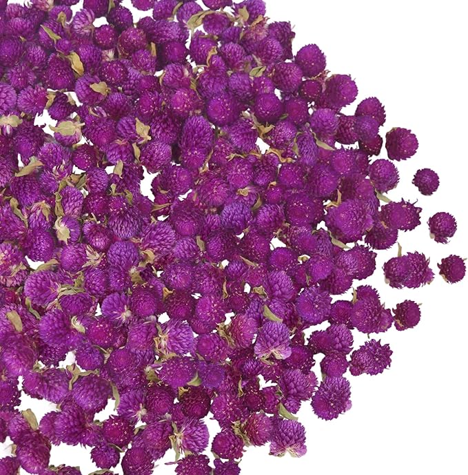 220 Pcs Dried Flowers Heads for Crafts Purple Globe Amaranth Natural Dried Gomphrena Globosa Flower Bulk Dry Flower Arrangements for Wedding Decor Home Party Headband DIY
