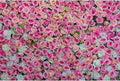 Colorful Flowers Backdrop Pink Red Roses Flowers Floral Wall Photography Background Anniversary Birthday Baby Shower Wedding and Love Backdrops Decor Children Adults Video Studio Prop 9x6ft