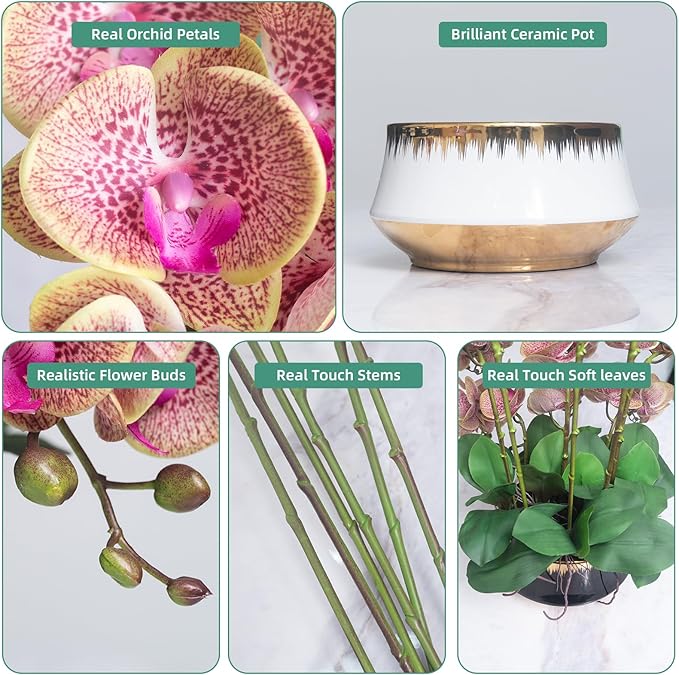 CXGS Orchids Artificial Flower Real Touch Faux Orchid in Large Ceramic Vase 23.6'' Realistic PurpleSpots Fake Phalaenopsis Floral Arrangements Centerpiece Table Home Indoor Decor