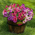 12 Bundles Artificial Flowers for Outdoor,No Fade UV Resistant Fake Flowers,Faux Plants for Outside Hanging Planters,Artificial Plants for Porch Garden Home Wedding Decor(Fuchsia,Purple,Pink)
