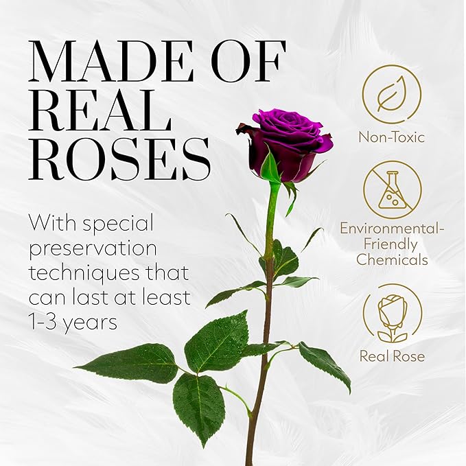 GLAMOUR BOUTIQUE Eternal Preserved Roses in a Box - Flowers Forever, Rose Forever in a Box for Wife, Birthday Gifts for Her, Single Rose, Purple