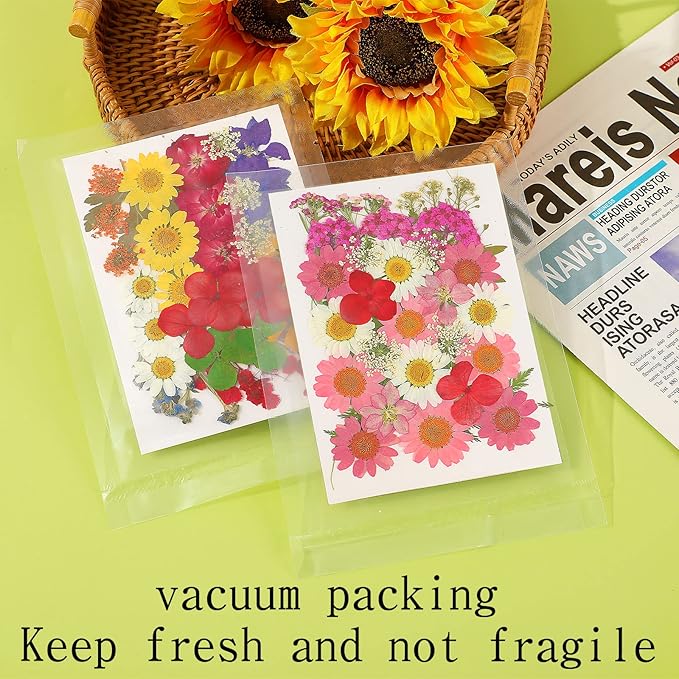 Augshy 141Pcs Dried Pressed Flowers for Resin, Natural Dried Flowers Real Pressed Flower for Crafts, Resin Mold Scrapbooking, Candle, Soap Making DIY, Epoxy Resin Supplie