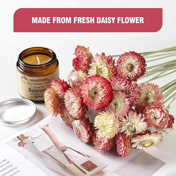 MIHUAGE Dried Flower 40PCS Daisy Bouquet 100% Natural Chrysanthemum Dry Flower for Vase Home décor Party DIY Arrangement Wheat Straw Bulk (Light Purple)