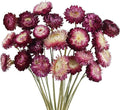 CITYES 22 Pcs Natural Dried Daisy Flowers Bouquet Dried Flower Purple Daisies Dried Sunflowers Chrysanthemum with Stem for Wedding Farmhouse Table Vase Decor Home DIY Flower Arrangement