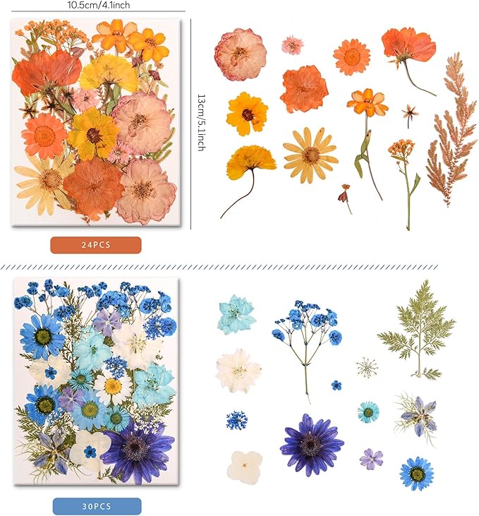 222 PCS Real Pressed Dried Flowers and Leaves with Butterfly Stickers & Tweezers – Natural Dried Flowers for Resin, Candle, Jewelry, Scrapbooking & DIY Crafts (Colour 222)