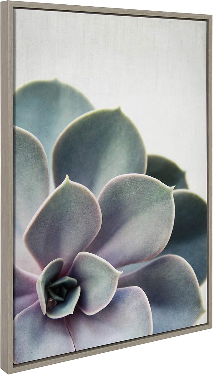 Kate and Laurel Sylvie Succulent 5 Framed Canvas by F2 Images, 23x33 Gray