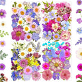 91Pcs Purple Pressed Dried Flowers for Resin Molds, Assorted Real Natural Bulk Dry Floral Leaves for DIY Art Crafts, Epoxy Jewelry, Candle, Soap Making, Nails Decors Gifts