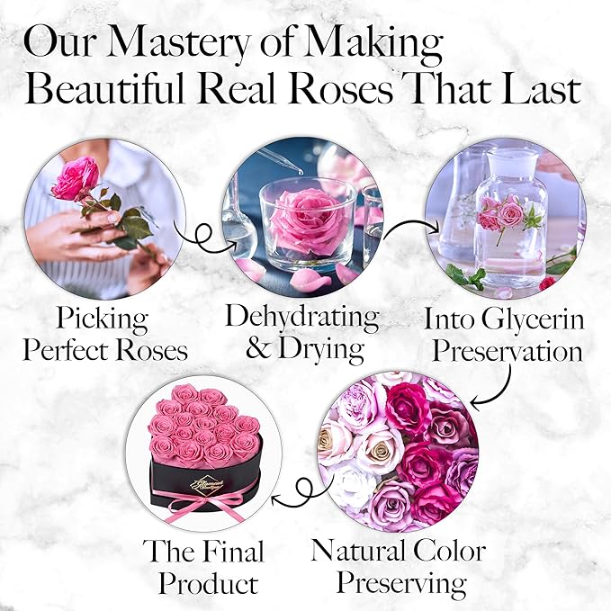 GLAMOUR BOUTIQUE 16 Flower Forever Heart Shape Box - Preserved Roses Gift for Her, Preserved Flowers, Pink