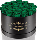 NATROSES 27 Piece Forever Preserved Roses in a Box, Preserved Flowers for Delivery Birthday, Flowers Gifts for Mothers Day, Forest Green