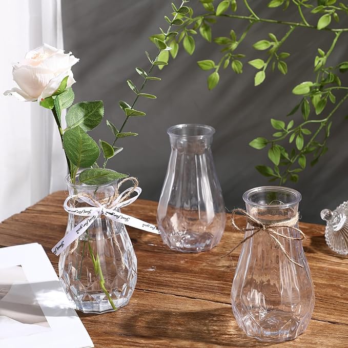 Bokon Set of 12 Pcs Small Plastic Bud Vases in Bulk with Gift Wrapping Ribbon, Vases for Flower, Wedding Centerpieces for Home Decor, Living Room, Office Decoration, Housewarming Party Gift (Clear)