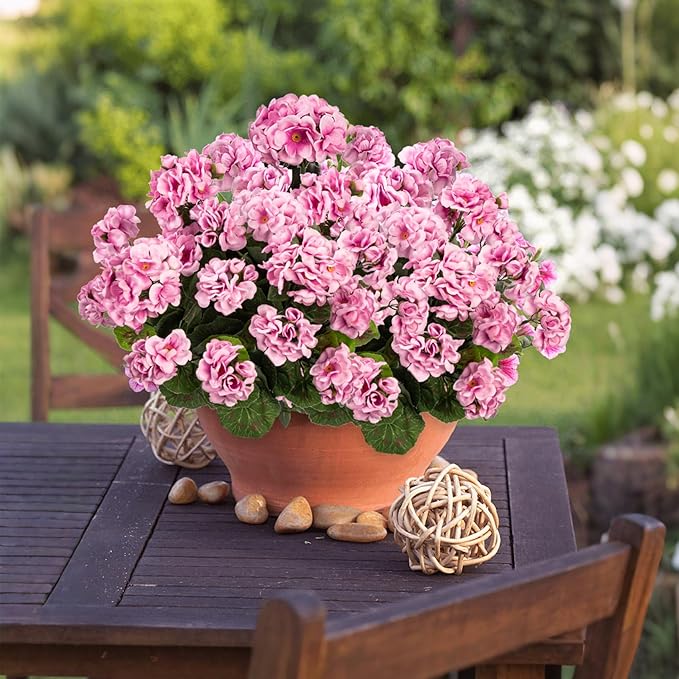 Plastic Flowers for Outdoors Home Decor Fake Plants Artificial Flowers Artificial Geraniums Outdoor Fake Flowers Silk Bouquet, Fall Decor for Interior Porch Garden Decor14.4 (Pink) 8PCS