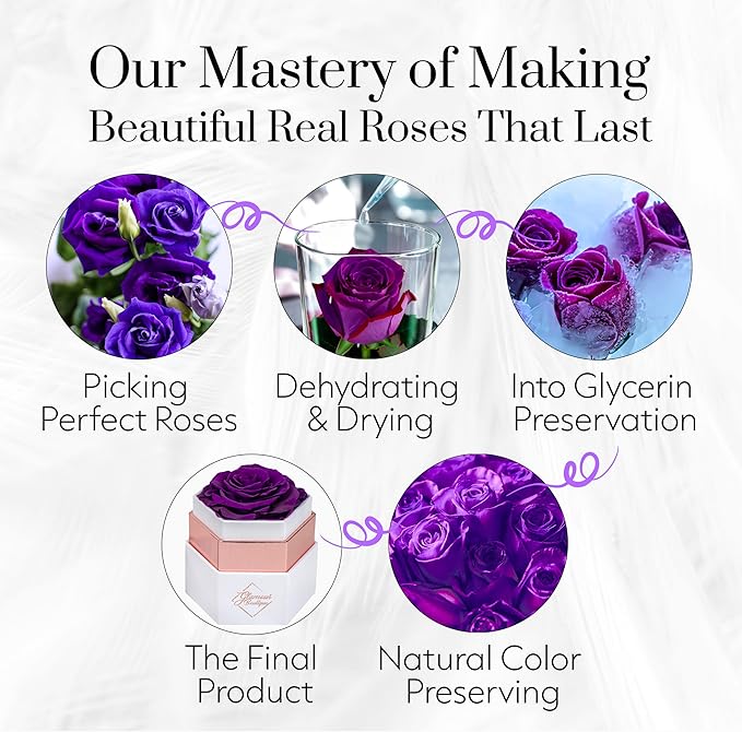 GLAMOUR BOUTIQUE Eternal Preserved Roses in a Box - Flowers Forever, Rose Forever in a Box for Wife, Birthday Gifts for Her, Single Rose, Purple