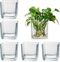 Set of 6 Square Glass Vases for Centerpieces – 4" x 4" x 4" Clear Short Vases, Flower Vase, Plant Terrariums, or Candle Holders for Wedding Centerpieces, Office Decor, Home Décor, Parties