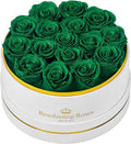 Preserved Roses Forever Flowers Real Roses in a Box Mother's Day Birthday Flowers for Her Mom Women Wife Valentine's Day, 16 Green Roses