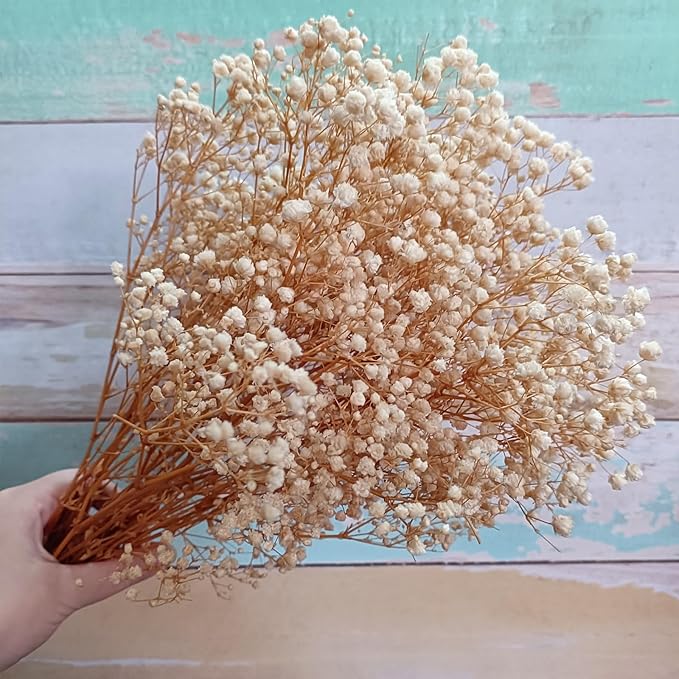 Preserved Baby's Breath, 100% Natrual Gypsophila Long Lasting Flowers for Vase Arrangements Home Decoration Photo Props Parties and Weddings, DIY Décor-White