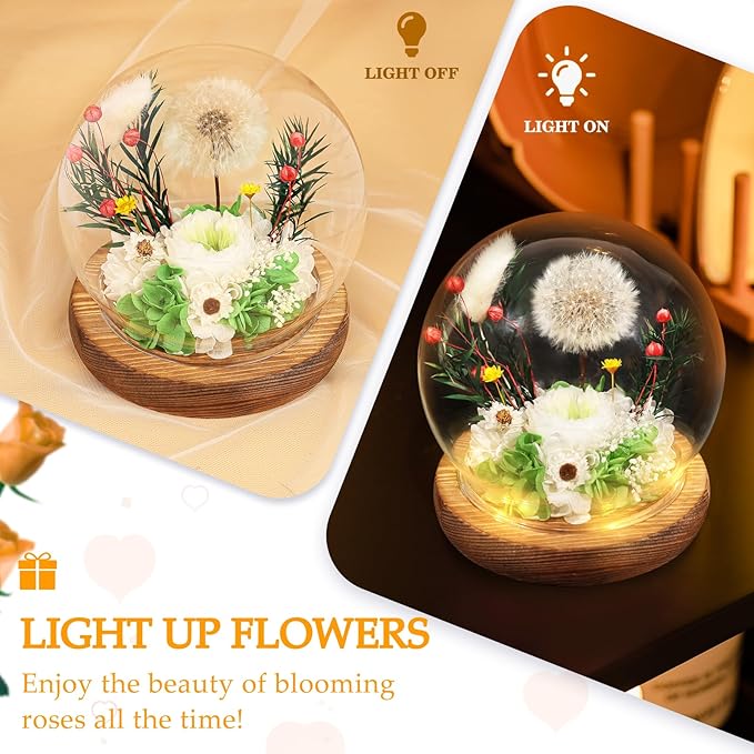 FIACO Gifts for Women Preserved Flower Forever Dandelion Rose in Glass Real Fresh Flowers for Delivery Prime Mothers Day Birthday Gifts for Mom Grandma Sister Wife Eternal Dandelion Flower Decor Green