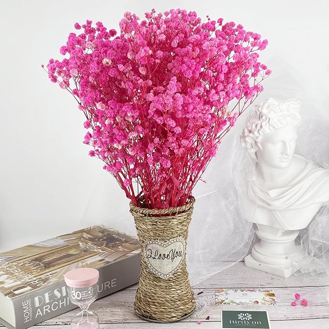 Birtlynn Preserved Baby's Breath, 100% Natrual Gypsophila Long Lasting Flowers for Vase Arrangements Home Decoration Photo Props Parties and Weddings, DIY Décor-Pink