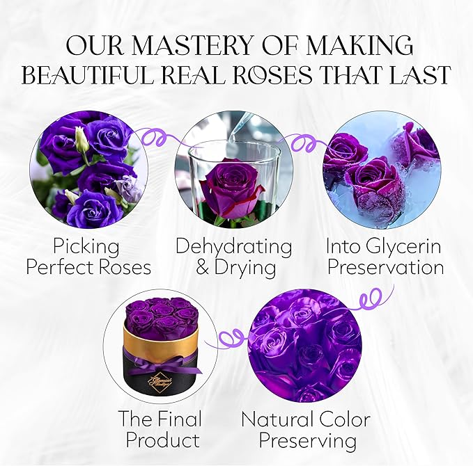 GLAMOUR BOUTIQUE Eternal Preserved Roses in a Box - Flowers Forever, Rose Forever in a Box for Wife, Birthday Gifts for Her, 7 Roses, Purple