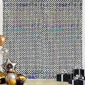 Iridescent Race Car Foil Fringe Curtains Backdrop Racing Party Supplies 2 Pack 3.28 x 6.56 Ft Race Car Theme Background for Kids Boy Birthday Baby Shower Party Decorations