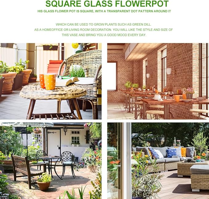 Angoily Transparent Square Glass Flowerpot Cube Shape Hydroponic Vase for Home Office Decoration Elegant Small Planter Pot Pure Material Easy to Clean