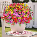 Artificial Faux Plants Flowers Outdoor Decoration,16 Bundles Fake Silk Colorful Daisy Eucalyptus Realistic UV Resistant for Outside Home Planter Porch Patio Yard Decor (Mix Purple Pink Yellow Red)