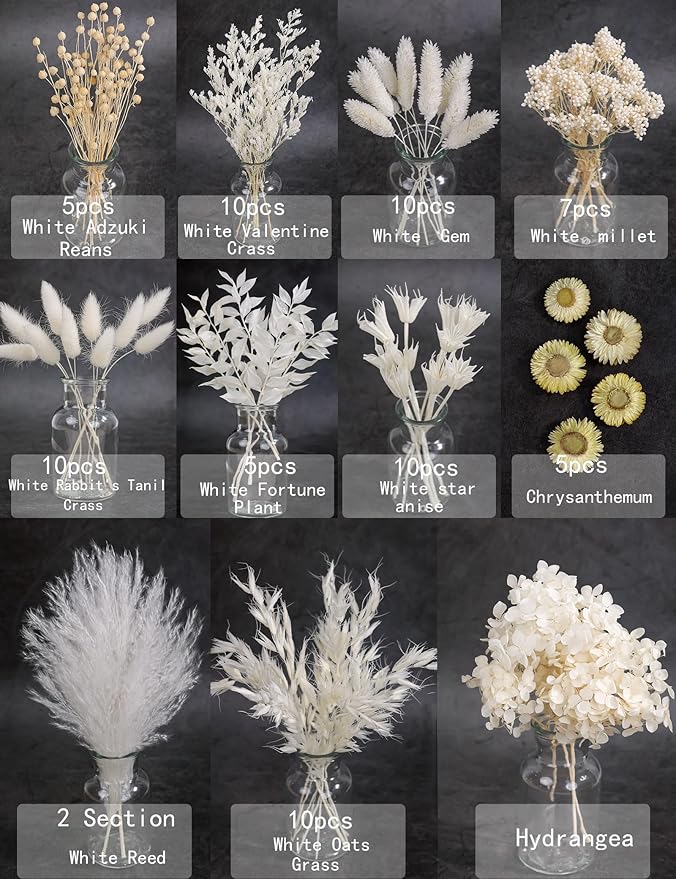 Natural Dried Flower Set, Bulk Dried Flowers with Stems, Dried Daisies, Dried Rabbit's Tail Grass,Mini Bouquet.(White)