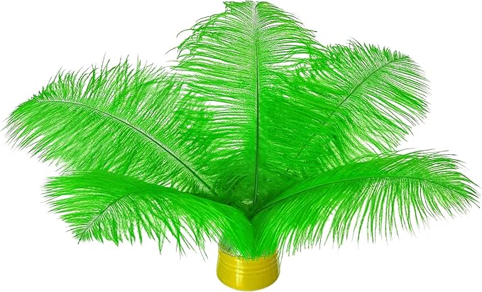 Piokio 20 pcs Natural Green Ostrich Feathers 6-8 inch(15-20 cm) in Bulk for DIY Handmade Artwork and DIY Clothes, Feather Pens, Dream Catcher, Table Decoration.
