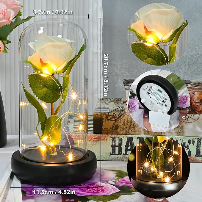 QUELIEN White Roses in Glass Dome,Eternal Rose Gift for Women,Lasts Forever Home Decor,Mother's Day Christmas (White)