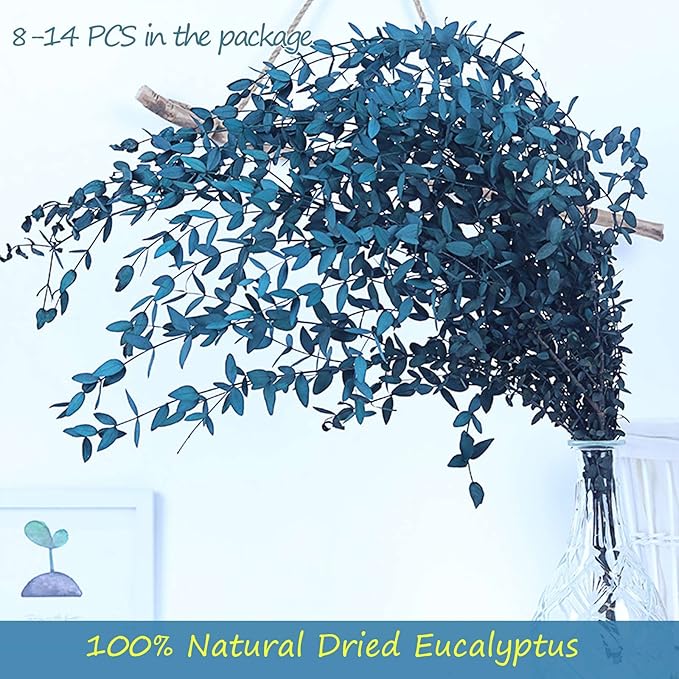 Dried Eucalyptus Leaves Preserved Greenery Stems, 8-14 PCS Eucalyptus Garland Branches, 4 OZ Blue Leaves Plant Bundle for Wedding Wreath Party Home Decor Vase Filler