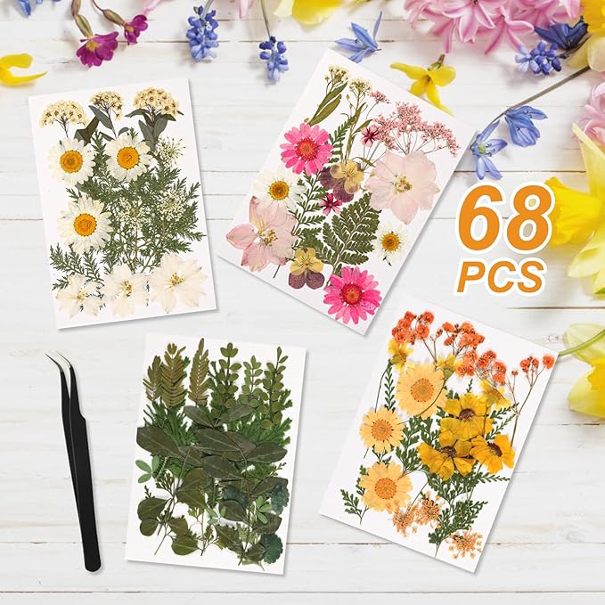 Gold Picture Frame Set - /w 68 Pcs Dried Flowers and Tweezer - Double Glass Frame for Pressed Flowers, Pressed Flower Frames for Handicrafts, Photo or Other Flat Items.