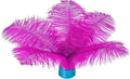 Piokio 20 pcs Fuchsia Ostrich Feather Plumes 6-8 inch(15-20 cm) Bulk for DIY Handmade Artwork and DIY Clothes, Feather Pens, Dream Catcher, Table Decoration.