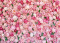 15x10ft Flower Photo Backdrop Flowers Wall Pink Rose Floral Spring Photography Backdrops for Pictures Newborn Wedding Bridal Shower Birthday Party Banner Decor Supplies Vinyl Photo Studio Props