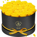 Forever Flowers 27 Roses in A Box, Real Preserved Roses, Birthday Gift for Women, Mother's Day, Anniversary Day - Yellow Rose