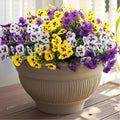 Artificial Fake Pansy Flowers for Outdoor, Faux Silk Pansies Spring Flowers for Outside for Planter Front Door Porch Yard Patio Window Box Home Decor (36, Purple, Yellow, White)