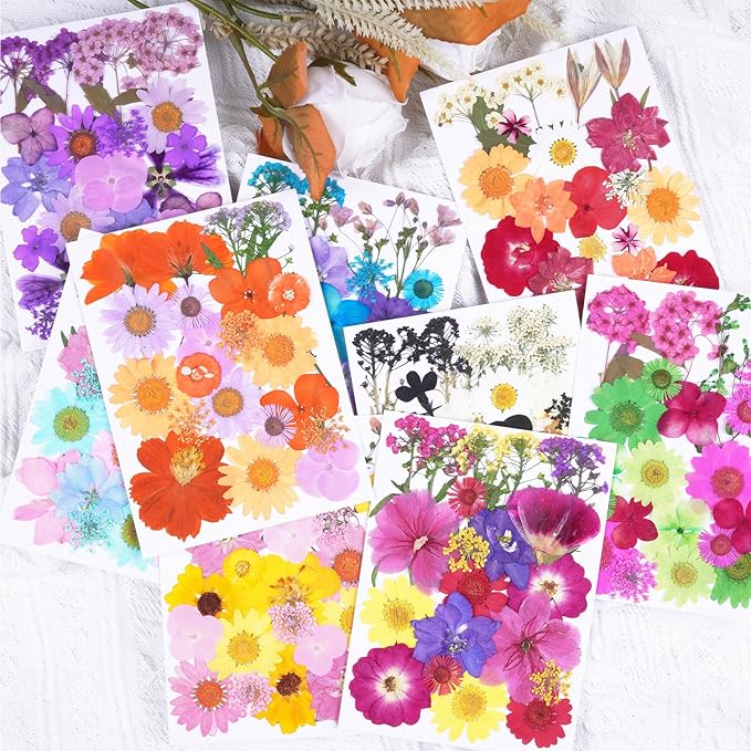 190Pcs Dried Pressed Flowers for Crafts,Xinxinran Dry Flower Kit for Resin Molds,Epoxy Resin Accessories,Bookmark,Nails, Jewelry Molds,Candle Making Supplies,Soap,Frame(Bright Color)