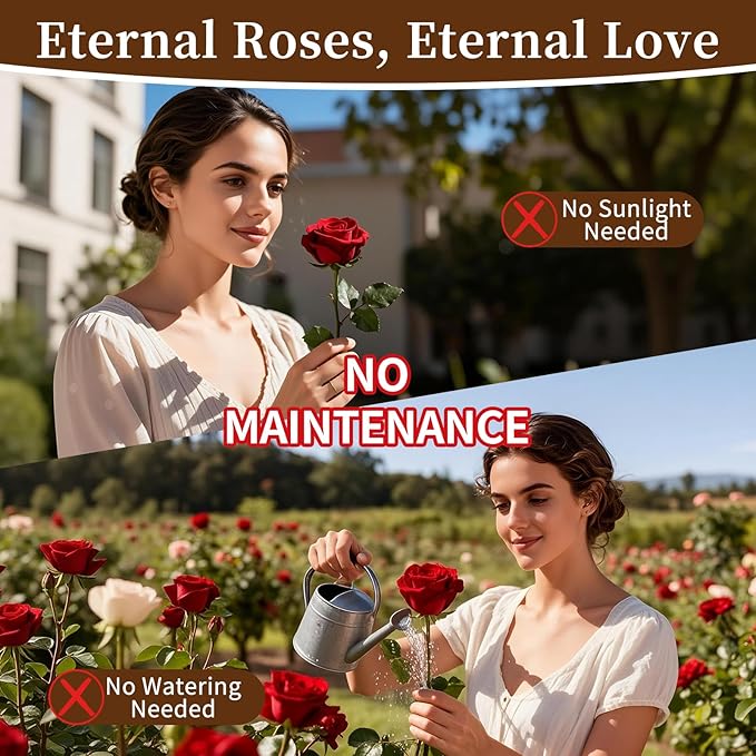 SEEROSE Preserved Rose with Cupid Bear in Glass Dome, Eternal Real Rose Romantic Gift for Her, Women, Mom, Wife, Girlfriend, Valentine’s Day, Mother’s Day, Christmas, Birthday (Cupid Bear, Red)