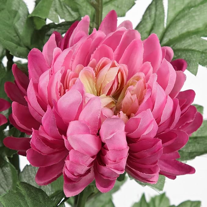 Hollyone 5Pcs Fake Mums Flowers Pink Artificial Chrysanthemum Flowers Silk 22.8inch Long Stem Floral Arrangements Bouquets Faux Spider Mum Flower Pincushion Flower Bush Spring Home Decor