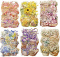 TIAMECH Picking Flowers PET Stickers - 72 Pcs Blooming Spring & Flower Charm Design, Waterproof Sticker for Journaling & Scrapbooking, Junk Journal Supplies, Ephemera & DIY Crafts